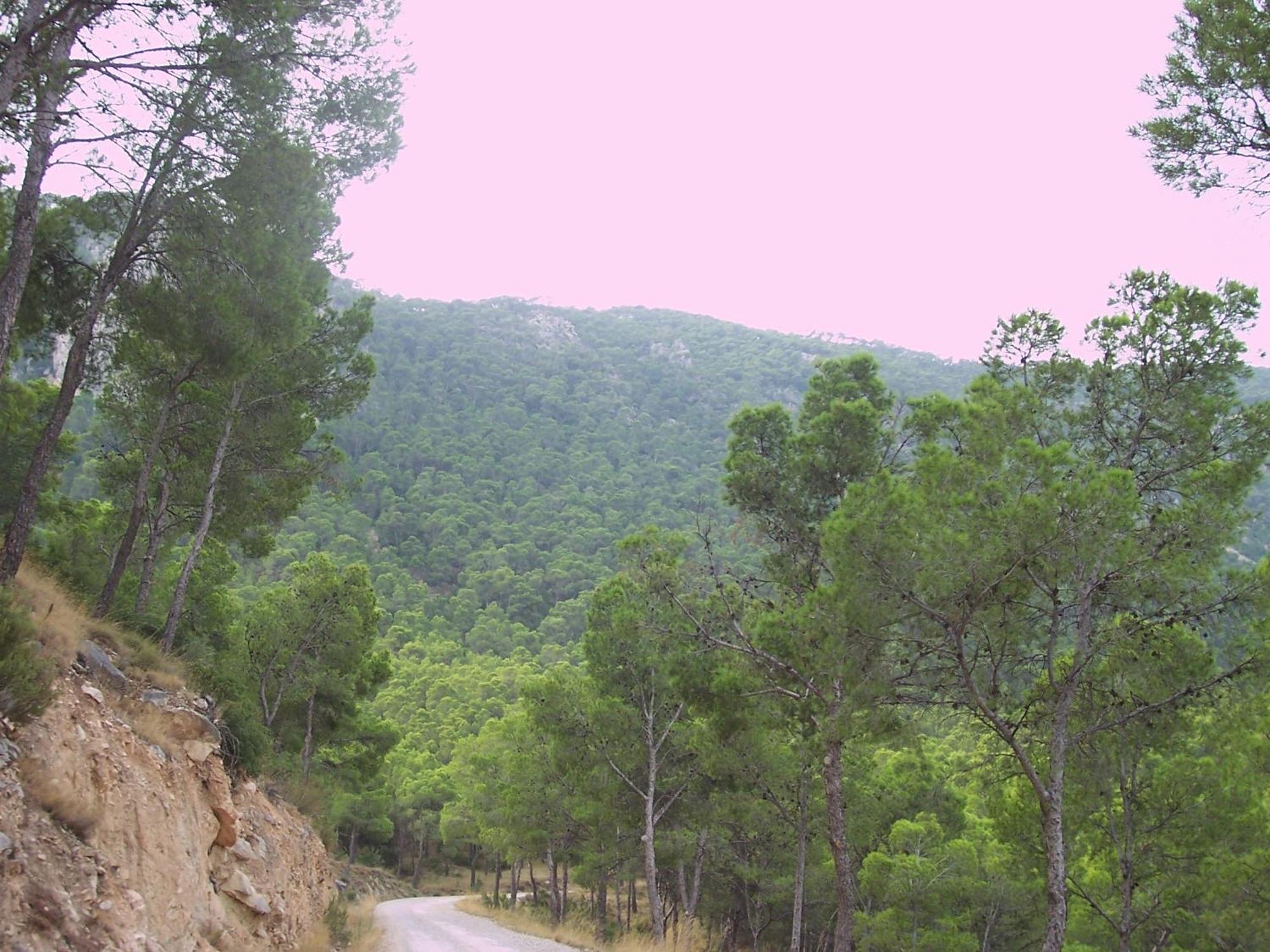 Aljibe De Monastrell Hostel Ricote Buitenkant foto